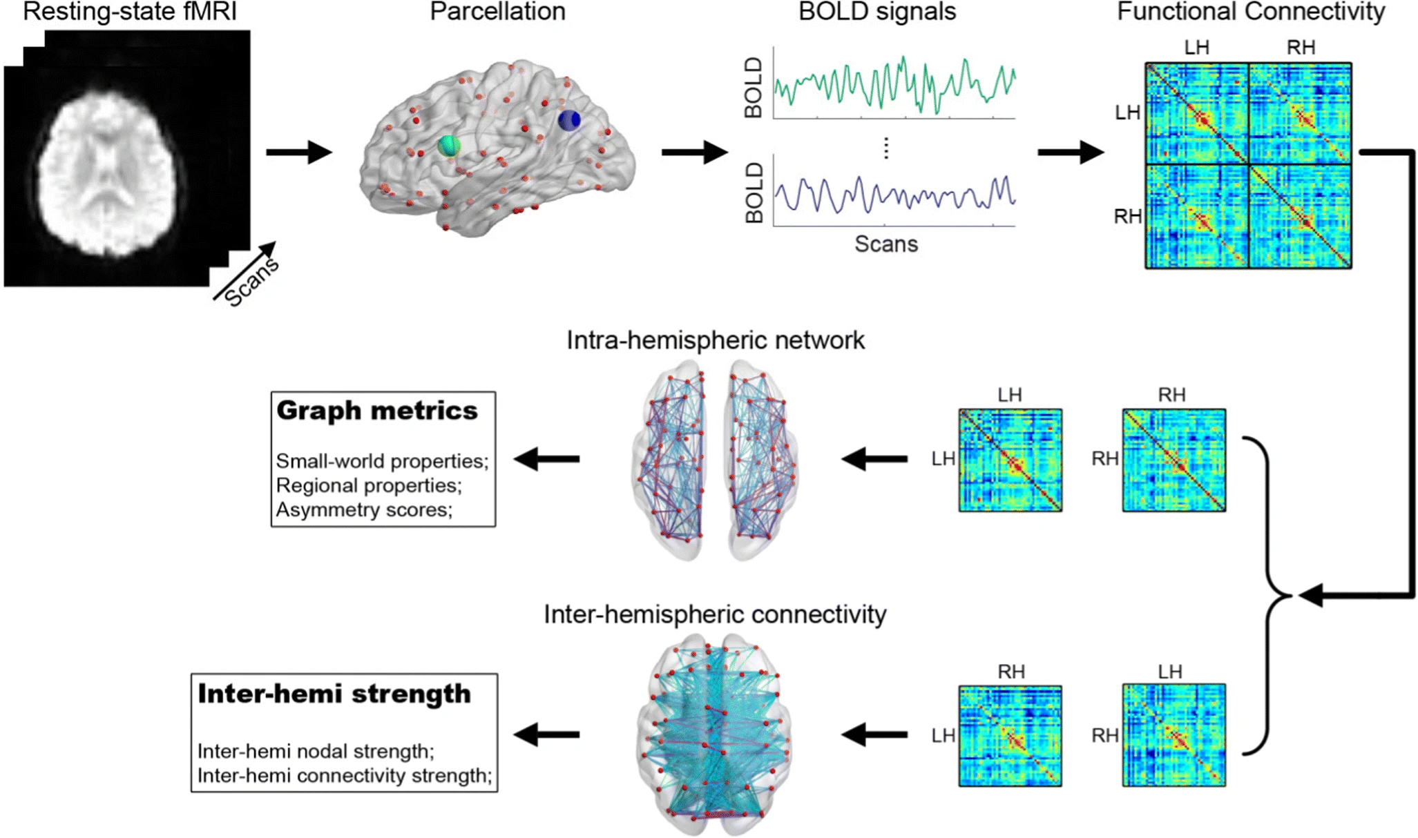 Figure 1: Workflow from fMRI scan to network data, specifically as applied to lateralization metrics